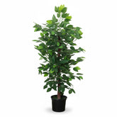 Artificial Contemporary Green Ficus Tree - 3 ft (90 cm)